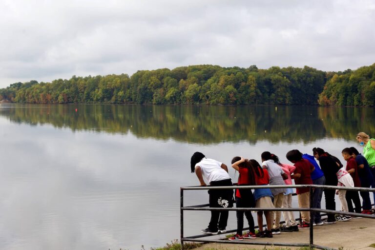 Kids on dock looking out over lake.