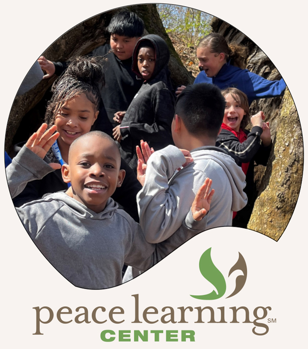Peace Learning Center Home